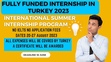 Fully Funded Summer Internship Program in Turkey 2023