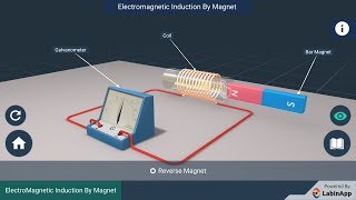 Electromagnetic Induction: by Magnet screenshot 2