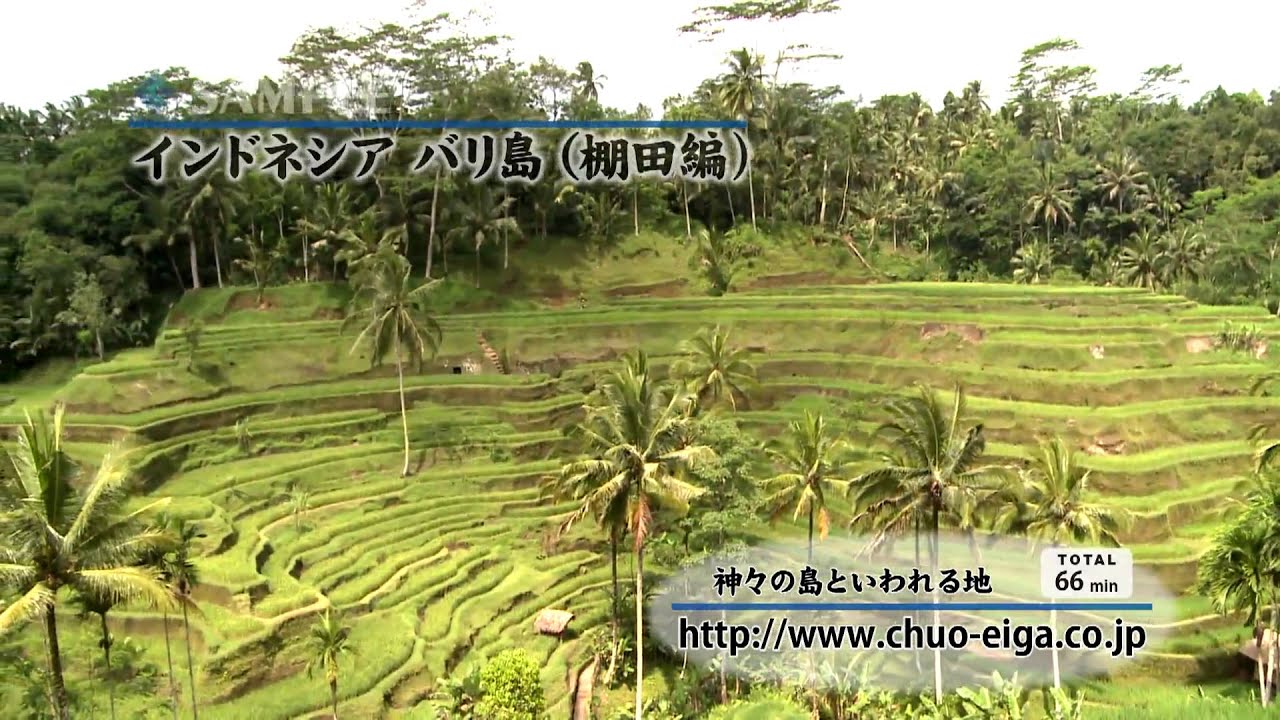 World Heritage Bali Indonesia Rice Terraces 世界遺産 インドネシア バリ島 棚田 ライステラス Youtube