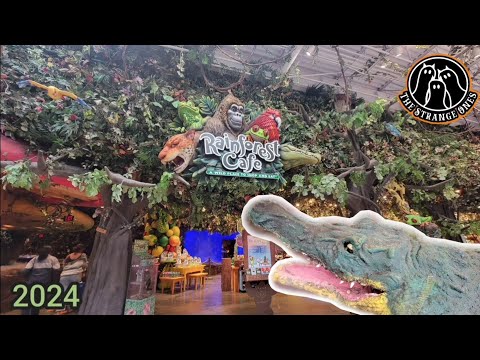 Rainforest Cafe π Full Walkthrough π¦ Animatronics π¦ 2024 Ontario Mills Mall California