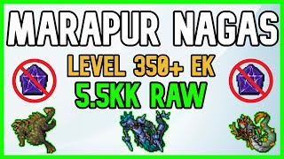 Tibia 350 Ek 5.5Kk Raw Marapur Nagas Temple Of The Moon Goddess