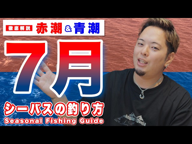 バラ売り応相談 シーバス サーフ シンペン 断捨離セット バラ売り応