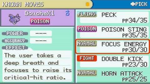 Pkmn Fire Red Omega [Part 12]: Nugget Bridge