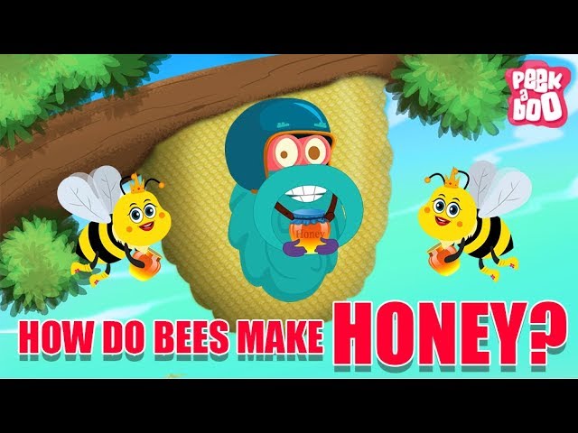 How Do Bees Make Honey? - The Dr. Binocs Show | Best Learning Videos For Kids | Peekaboo Kidz class=