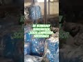 ratechnology3419@gmail.com#compressor #airconditioning #scroll #Emerson #compressor #youtubeshorts