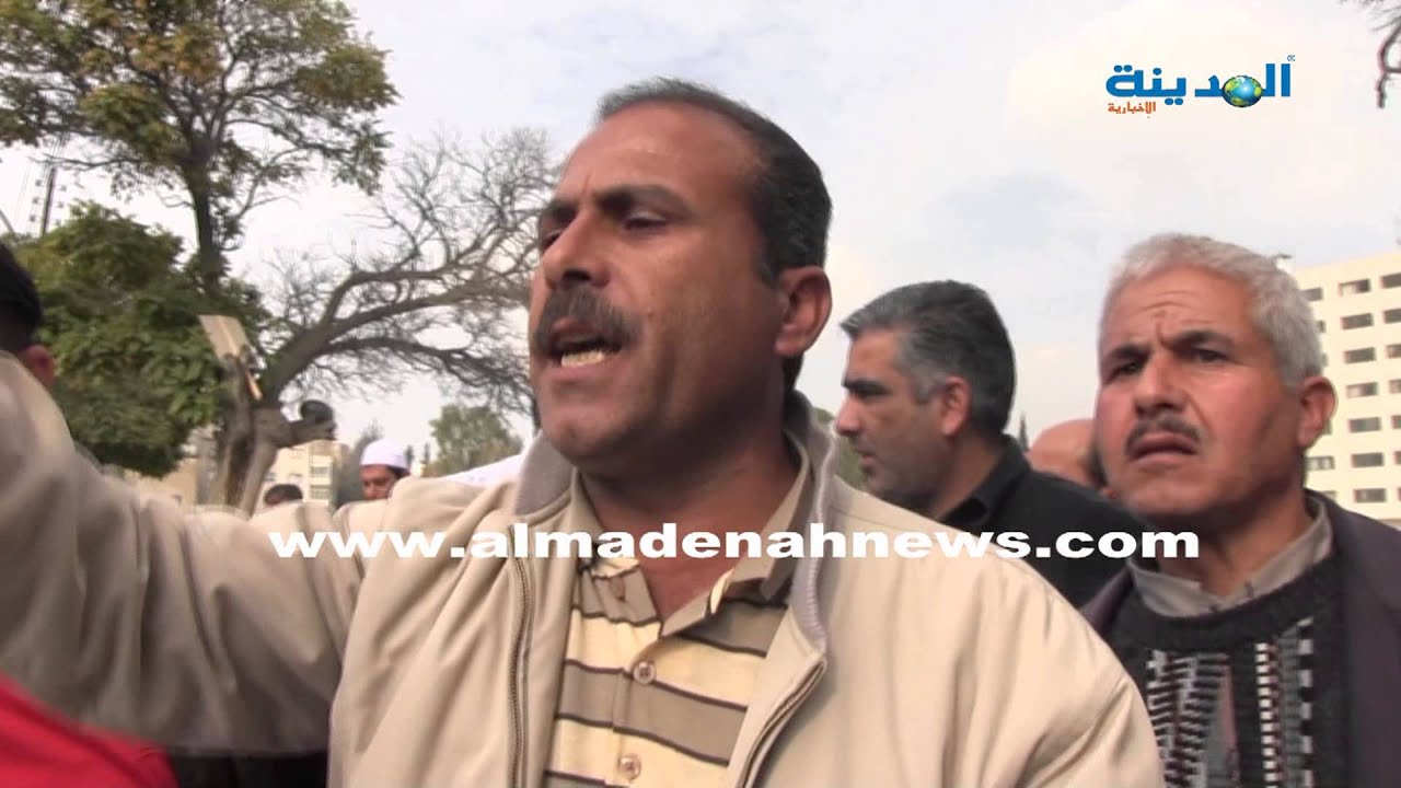 المدينة نيوز - بتول دانو - كائنات غريبة تظهر ليلا  لسكان هاشمية الزرقاء