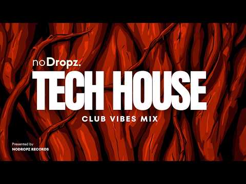 Tech House Club Vibes 2026 by noDropz | HIGH FREQUENCY | #3