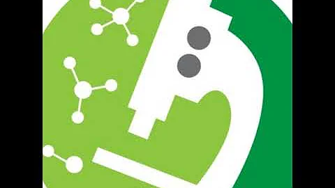 Taller Virtual: Endotoxinas Bacterianas