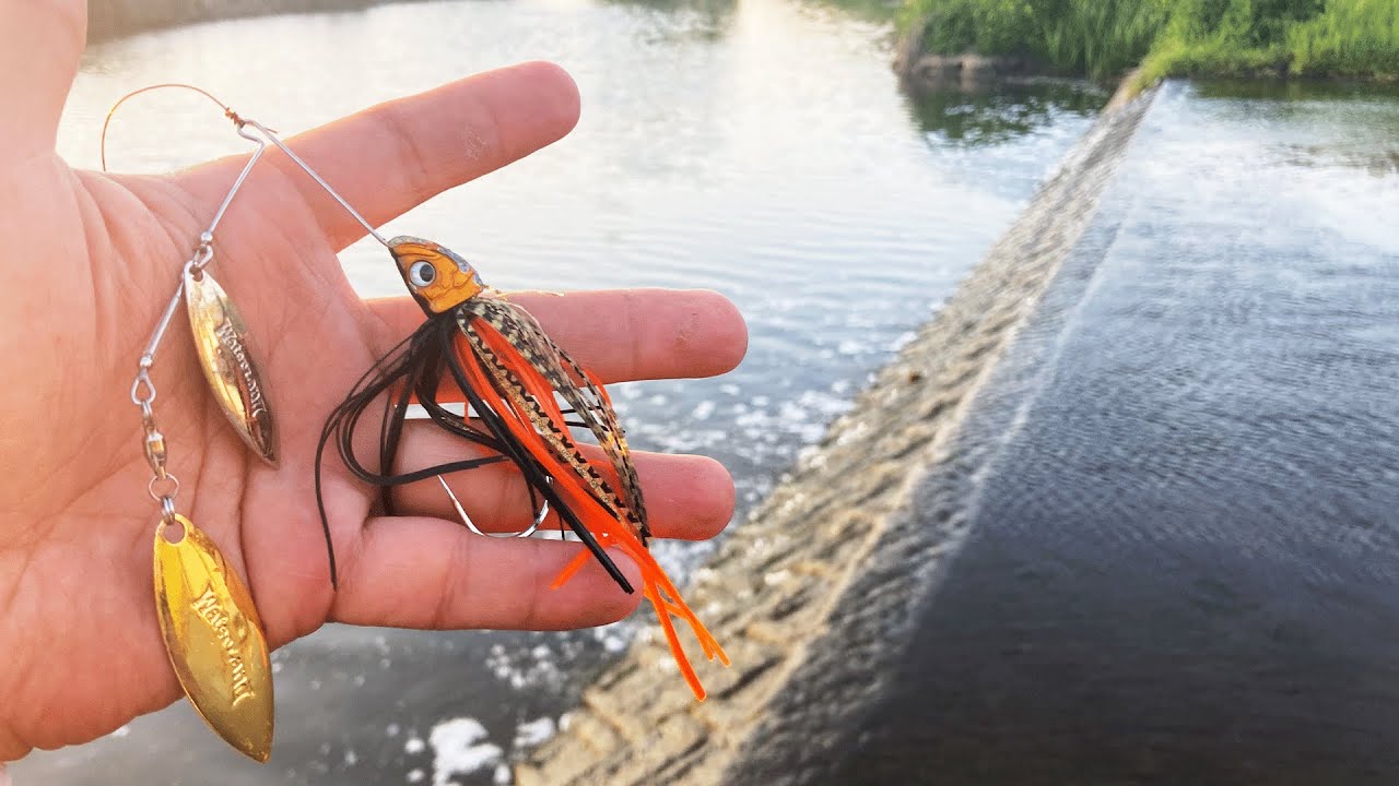 ナマズのXデー【芦田川水系】
