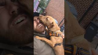 Killed By A Patterdale