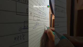 *11th grader*🌟Study with me for 3hours straight 📚🌱#study
