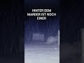 WILDKAMERA IM GARTEN. HINTER IHM IST NOCH EIN MARDER. SIEHT MAN IM VIDEO NICHT IM SHORT. 👍👍