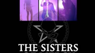 Video thumbnail of "THE SISTERS OF MERCY - WE LOVE TO..."