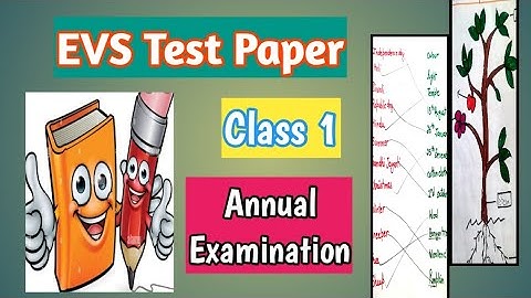 EVS test paper for class1  /class1 evs Entrance exam question paper