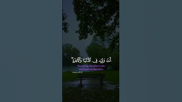 سورة يوسف✨️🎧 🤍 اجر لي ولكم 🤲🏻  #اللهم_صل_وسلم_على_نبينا_محمد