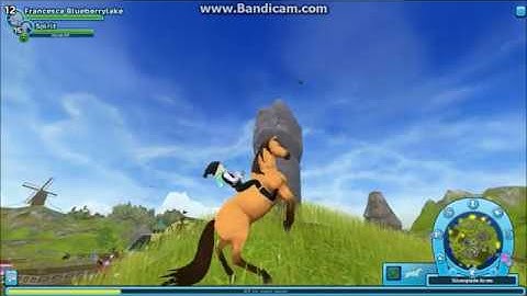 SSO: My three New Horses! || Mandy BreezeHeart