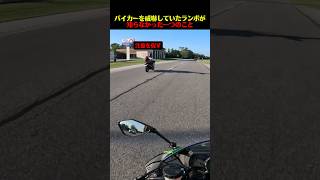 バイカーを威嚇していたランボが知らなかった一つのこと
