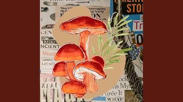 High-class Backdrops for Needing Vibes