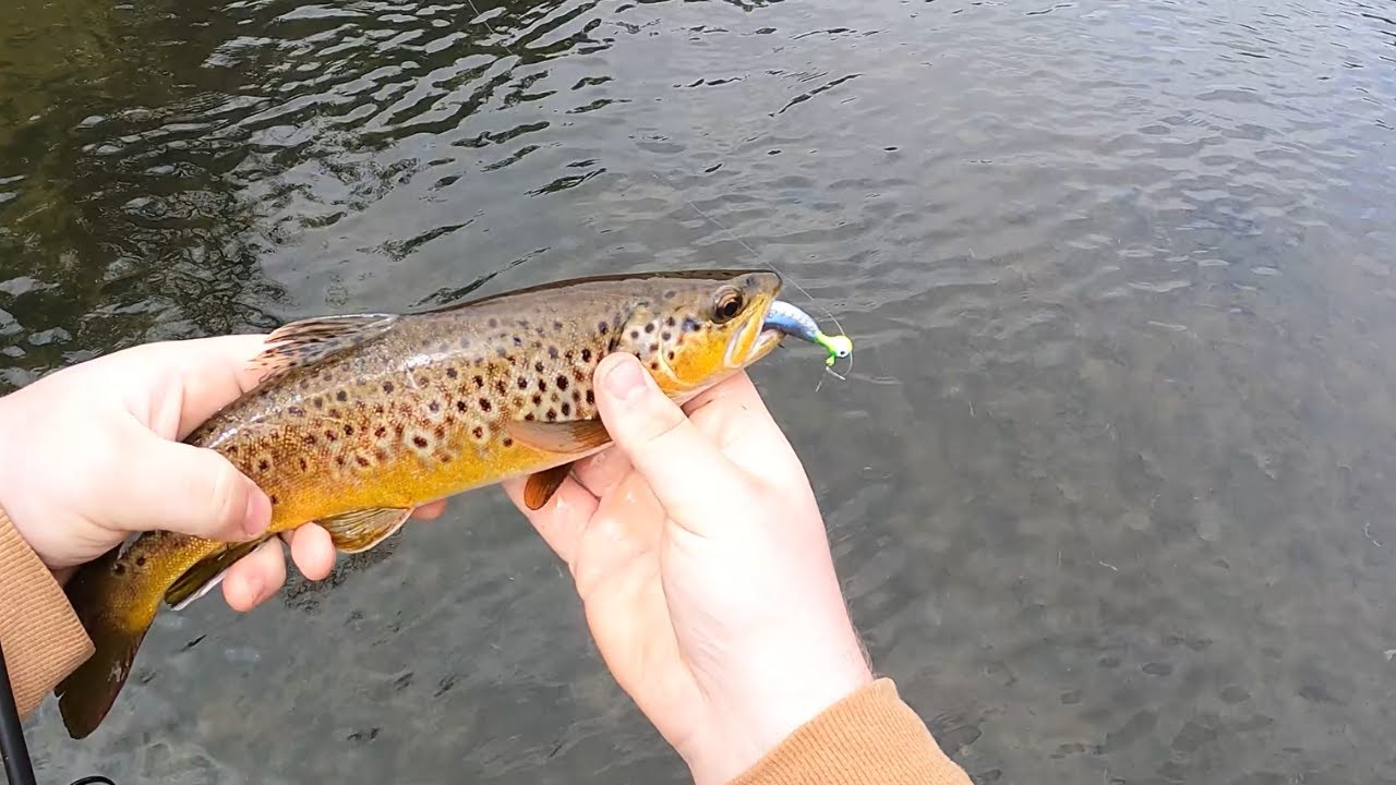 Cold Water, Cold Weather...Perfect For Trout!