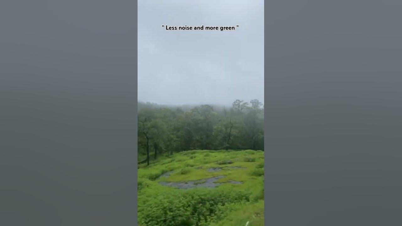 #naturelovers #shaorts #travel #naturestatus #greenery #songs #trees #trending #music #love