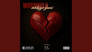 Wayiphula Inhliziyo Yami