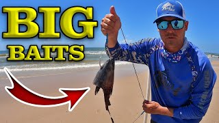 Fisherman Catches Most Dangerous Fish In The Ocean Dropping Big Baits 