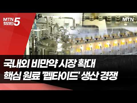 커지는 비만약 시장…K-바이오, 핵심 원료 '펩타이드' 생산 경쟁 / 머니투데이방송 (뉴스)