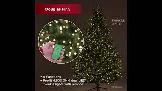 9 ft Douglas Fir Full Christmas Tree Lighting