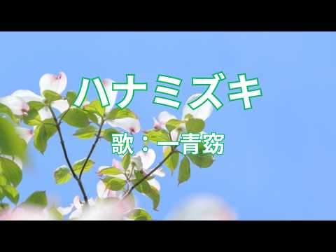 ハナミズキ　一青窈