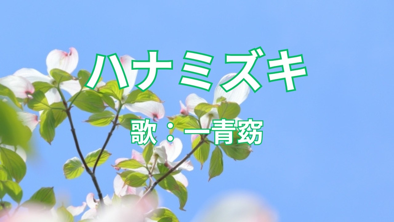ハナミズキ 一青窈 - YouTube