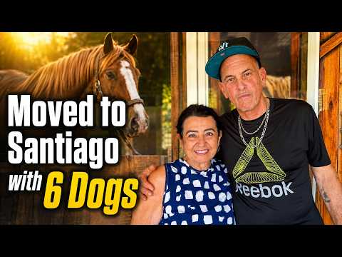 Moved to SANTIAGO Panama with Six Dogs