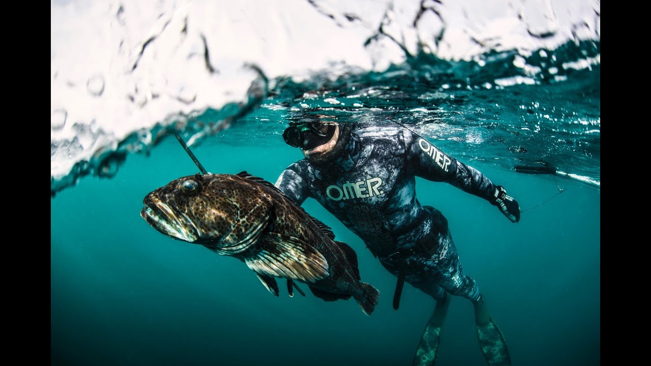 California Spearfishing by Dan Silveira Omer Spearguns .m4v YouTube