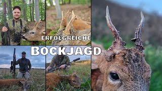 erfolgreiche Bockjagd zur Brunft und Blattzeit by Ich geh jagen 11,917 views 9 months ago 22 minutes