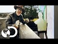 La guillotina de vidrio | Mythbusters: Los cazadores de mitos | Discovery Latinoamérica