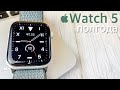 Полгода с Apple Watch 5