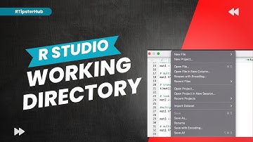 R Basics - Setting A Working Directory in R Studio