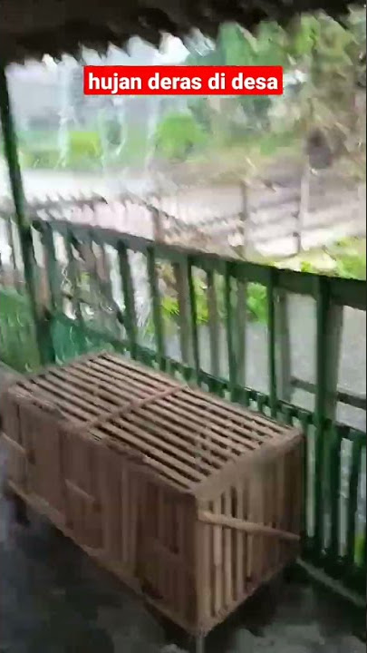 Hujan deras di siang hari di pedesaan#shorts