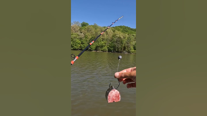 Simple and Effective Catfish Rig