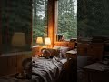 a cat in a cozy bedroom ASMR #cat #chill #cozy