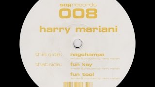 Harry Mariani Fun Key Original Mix