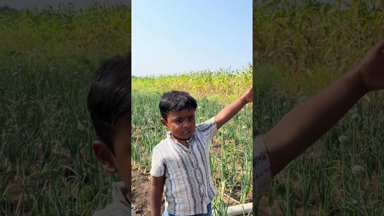 शिवांश आणि आई च शेतात काय सुरू आहे बघा दुपारचे किती वाजलेत 