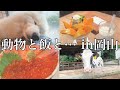◯◯◯にまみれてしまった岡山旅行Vlog