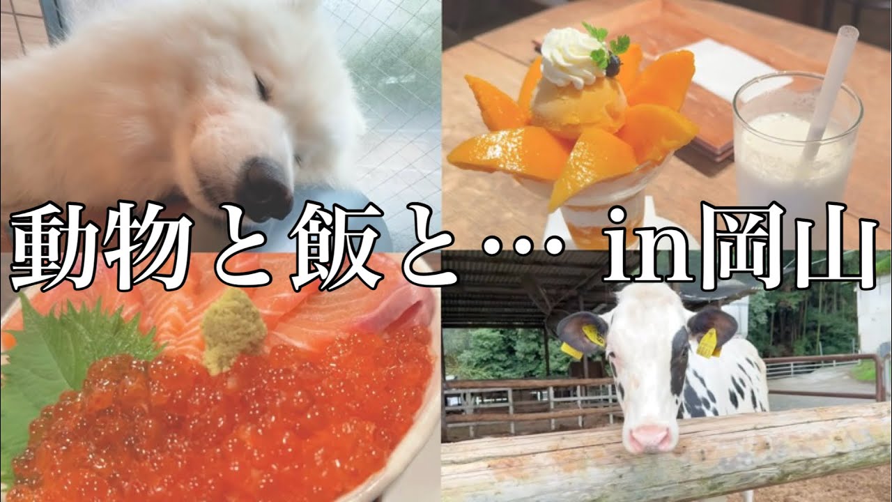 ◯◯◯にまみれてしまった岡山旅行Vlog