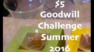 $5 Goodwill Challenge Summer 2016