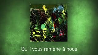 Video voorbeeld van "Zaz - De couleurs vives (Lyrics video)"