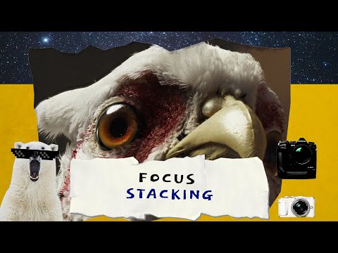 Click to Play Video
