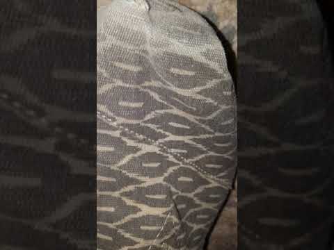 Size 12 - Busting out of my destroyed and stinky Tom's