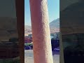 طز فيهم وفرصه سعيدة