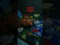semoga sehat selalu