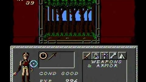 Dungeon Magic: Sword of the Elements 